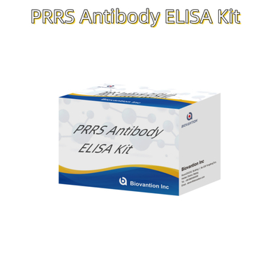 วิเคราะห์ ELISA สําหรับสัตว์ PRRSV หมู