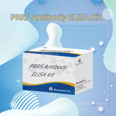 วิเคราะห์ ELISA สําหรับสัตว์ PRRSV หมู