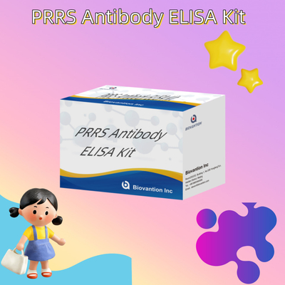 วิเคราะห์ ELISA สําหรับสัตว์ PRRSV หมู