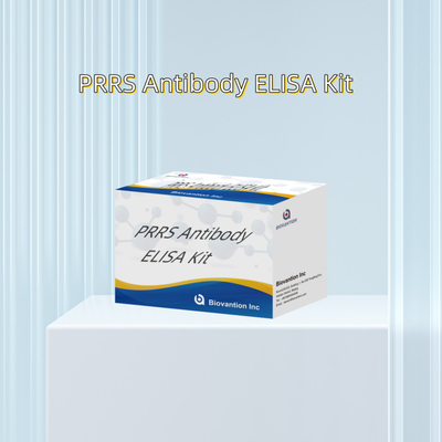 วิเคราะห์ ELISA สําหรับสัตว์ PRRSV หมู