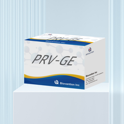 ชุดตรวจพบสําหรับตัวประกอบตรวจพบสัตว์ PRV-GE Antibody ELISA Kit