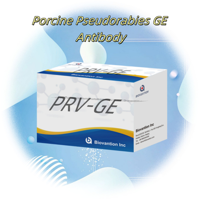 ชุดตรวจพบสําหรับตัวประกอบตรวจพบสัตว์ PRV-GE Antibody ELISA Kit