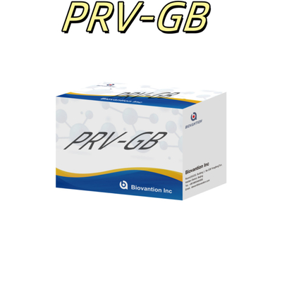 ความเฉพาะเจาะจง ELISA Immunoassay Kit for Serological Detection PRV reagent การตรวจสอบโรคเชื้อรา