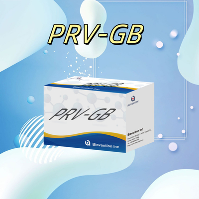 ความเฉพาะเจาะจง ELISA Immunoassay Kit for Serological Detection PRV reagent การตรวจสอบโรคเชื้อรา