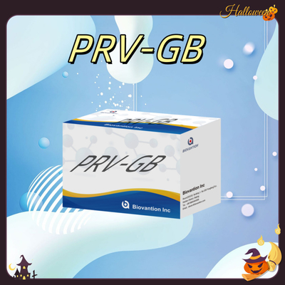 ความเฉพาะเจาะจง ELISA Immunoassay Kit for Serological Detection PRV reagent การตรวจสอบโรคเชื้อรา