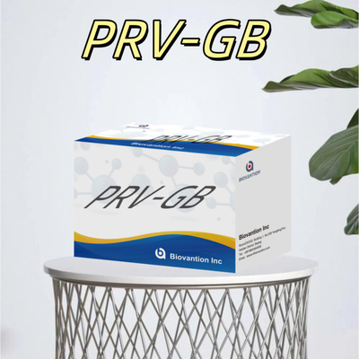 ความเฉพาะเจาะจง ELISA Immunoassay Kit for Serological Detection PRV reagent การตรวจสอบโรคเชื้อรา