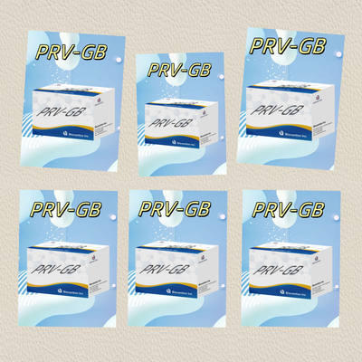 ความเฉพาะเจาะจง ELISA Immunoassay Kit for Serological Detection PRV reagent การตรวจสอบโรคเชื้อรา