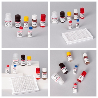 Biovantion CMV 18 เดือนอายุการใช้งาน IVD ELISA Serum Plasma Test Kit