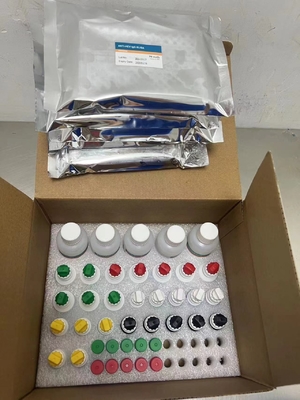 ความรู้สึกต่อแอนติบอดี HCV เซรั่ม Elisa ปกแต่ง Elisa Kit 10