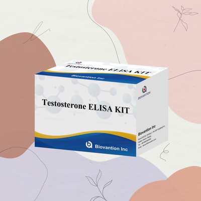 ชุดทดสอบ ELISA ที่มีประสิทธิภาพสูง เพื่อผลการทดสอบและผลการทดสอบที่สามารถผลิตได้