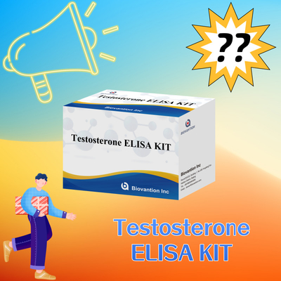 ชุดทดสอบ ELISA ที่มีประสิทธิภาพสูง เพื่อผลการทดสอบและผลการทดสอบที่สามารถผลิตได้