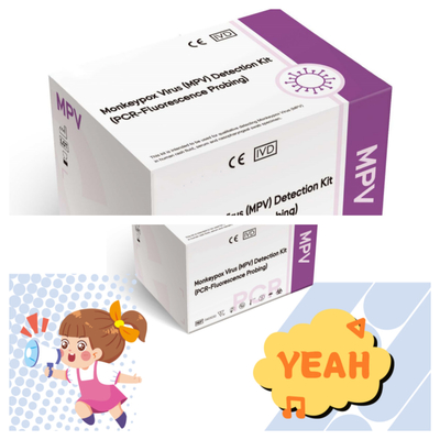 พบไวรัสแมมกีโป๊กซ์ สารปฏิกิริยา PCR สําหรับสภาพการเก็บรักษาการขยายที่สม่ําเสมอ 2-35