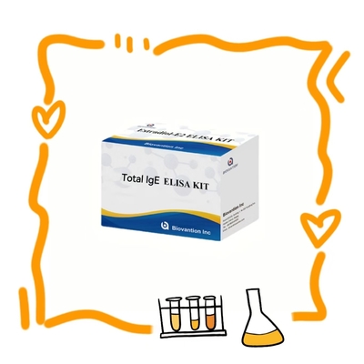 คิตทดสอบ IgE อานติบอดี IgE ELISA อินฟิทรอินไซม์การวินิจฉัย