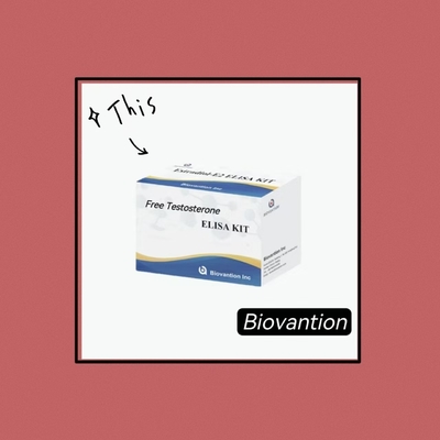 คิตทดสอบ ELISA ฟรีเทสเตอสเตอรอน ฟรี