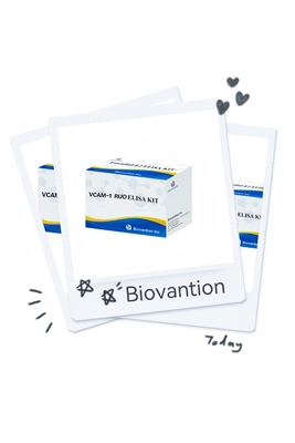 VCAM-1 RUO Elisa Kit โมเลกุลการติดต่อเซลล์แอนโดเทลียัลหลอดเลือดของมนุษย์ 1