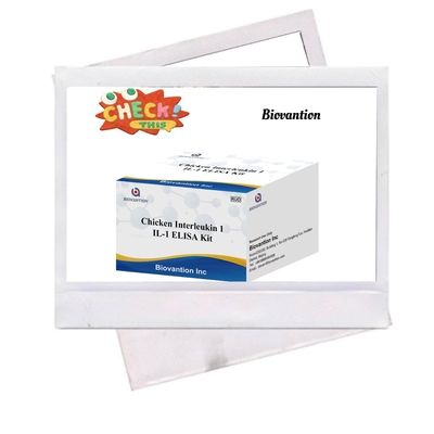 IL 1 ELISA Test Kit Interleukin-1 เซรั่มและพลาสมาของมนุษย์