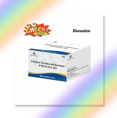 PTH ELISA Test Kit ไก่เอ็นไซม์เชื่อมต่ออัมมูโนสอร์บเมนต์ ฮอร์โมนแพร่ไทรอยด์ เซรั่ม