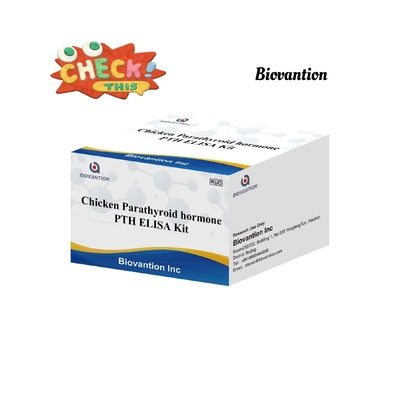 PTH ELISA Test Kit ไก่เอ็นไซม์เชื่อมต่ออัมมูโนสอร์บเมนต์ ฮอร์โมนแพร่ไทรอยด์ เซรั่ม
