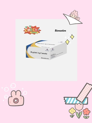 H. Pylori Ag แคสเซ็ตทดสอบรวดเร็วในตัวประกอบการวินิจฉัยใน vitro (ตัวประกอบการวินิจฉัย IVD)