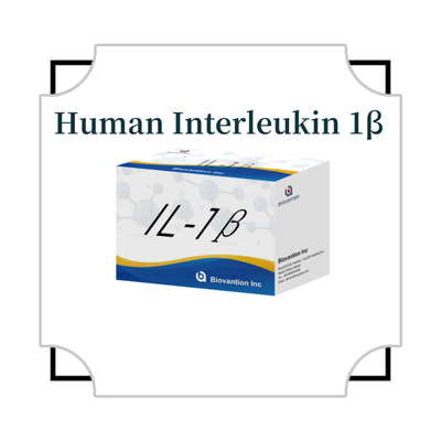 IL-1β Sensitive ELISA Kit สําหรับการใช้ในการวิจัย ด้วยความรู้สึก 95% และ 6 เดือน