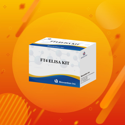 FT4 Elisa Kit ด้วยความรู้สึก 95% ของสารทดสอบ in vitro สําหรับการใช้ในมนุษย์