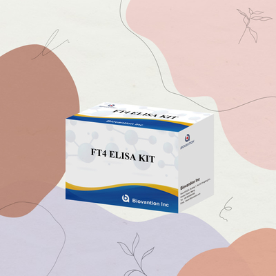 TOXO IgM IgG igg igm ELISA Kit สําหรับการใช้ในมนุษย์