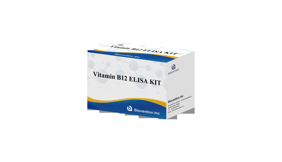 วิตามินบี 1 Elisa Test Kit การทดสอบสัตว์ของผลิตภัณฑ์ที่เชื่อมโยงกับเอนไซม์