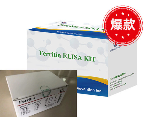 Ferritin Elisa Test Kit ผลิตภัณฑ์ที่เชื่อมโยงกับเอ็นไซม์ เวลาขนส่ง สั้น คุณภาพสูง