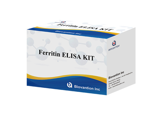 Ferritin Elisa Test Kit ผลิตภัณฑ์ที่เชื่อมโยงกับเอ็นไซม์ เวลาขนส่ง สั้น คุณภาพสูง