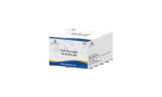 การทดสอบฮอร์โมนไทรอยด์ที่ใช้บ่อย T4 Triiodothyronine ELISA TEST KIT