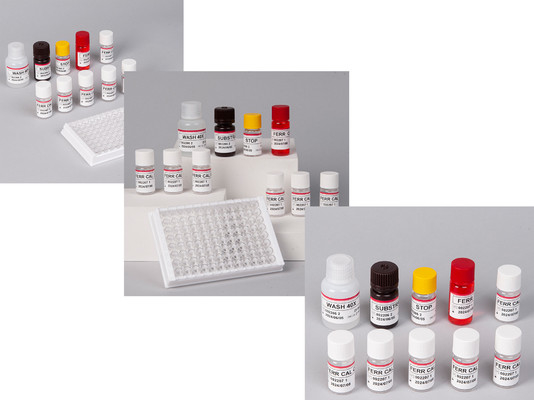 ห้องปฏิบัติการหรือโรงพยาบาล ความละเอียดสูง Human ferritin FE ELISA TEST KIT
