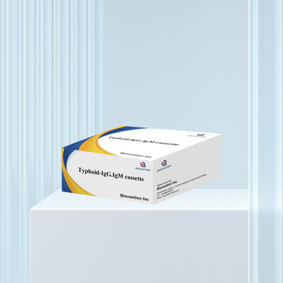 ขายร้อน ไทฟอยด์ IgM IgG สําหรับห้องปฏิบัติการ โรงพยาบาล ไทฟอยด์ไข้เลือด