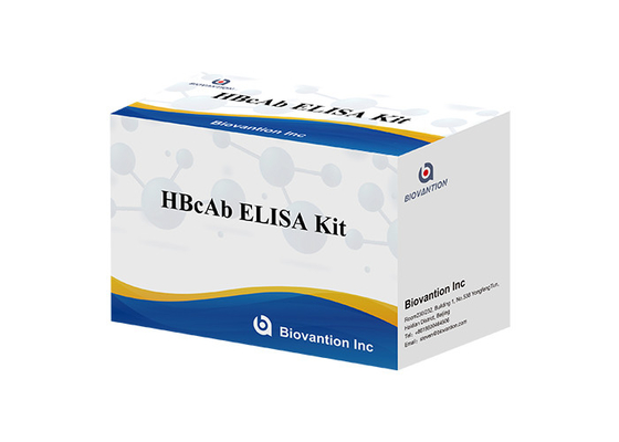 ขายร้อน สารวัดการวินิจฉัยสําหรับการใช้ในมนุษย์ ด้วย 96 การทดสอบ Hbc แอนติบอดี HBcAb Elisa Kit