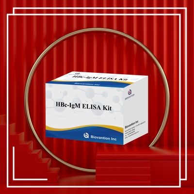 การทดสอบตัวประกอบการวินิจฉัย HBc IgM ที่มีความแม่นยําสูง ด้วยชุดทดสอบการตรวจสอบอัมโมโนสอร์เบนต์ที่เชื่อมโยงกับเอ็นไซม์