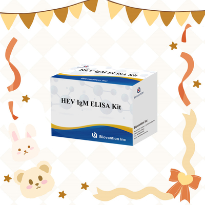 ชุดทดสอบ Elisa HEV-IgM ที่แม่นยําและมีความรู้สึก สําหรับการวินิจฉัยและการวิเคราะห์