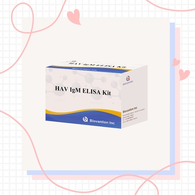 HAV IgM Elisa Test Hepatitis A Diagnositc Kit In Vitro Enzyme Immunoassay การทดสอบเชื้อเยื่อในอินทรีย์
