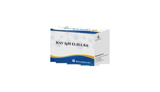 HAV IgM Elisa Test Hepatitis A Diagnositc Kit In Vitro Enzyme Immunoassay การทดสอบเชื้อเยื่อในอินทรีย์