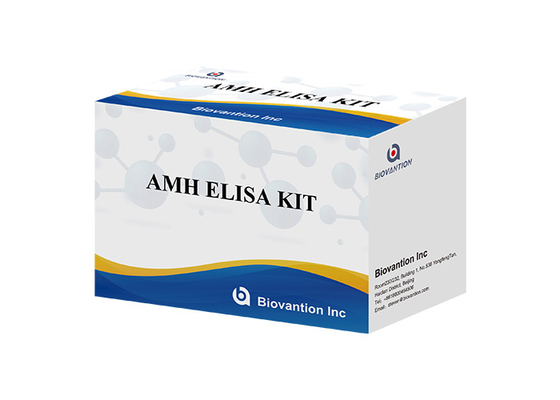 ชุดทดสอบฮอร์โมนแอนติมัลเลอเรียน AMH Elisa สําหรับการใช้ในมนุษย์