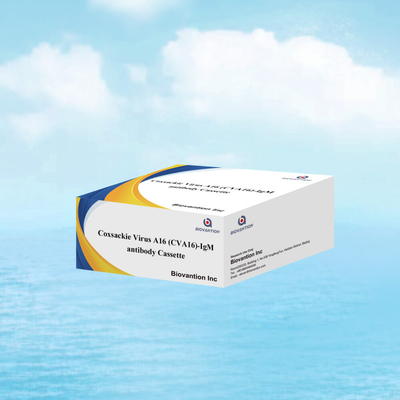 CVA16 IVD เครื่องทดสอบการวินิจฉัย Coxsackie Virus A16 CVA16-IgM แอนติบอดี แคสเซ็ต WB/S/P ทองคอลโลไดล ทดสอบเร็ว