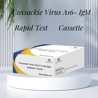 CVA16 IVD เครื่องทดสอบการวินิจฉัย Coxsackie Virus A16 CVA16-IgM แอนติบอดี แคสเซ็ต WB/S/P ทองคอลโลไดล ทดสอบเร็ว