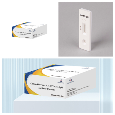 CVA16 IVD เครื่องทดสอบการวินิจฉัย Coxsackie Virus A16 CVA16-IgM แอนติบอดี แคสเซ็ต WB/S/P ทองคอลโลไดล ทดสอบเร็ว