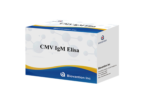 cMV IgM Elisa Test Kit คิทวิเคราะห์สารสกัดต่ออนุมูเนียมที่เชื่อมต่อกับเอ็นไซม์