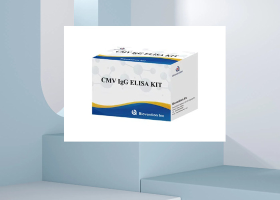 CMV IgG Elisa Test Kit ELISA Diagnostic Kit IgG แอนติบอดีต่อไวรัสไซโตเมกัลโวรัส