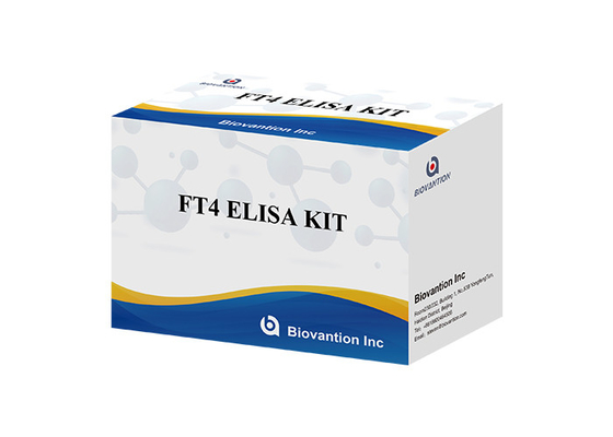 FT4 Elisa Test Kit Thyroxine Free Enzyme-Linked Immunoassay Kit การทดสอบปริมาณ
