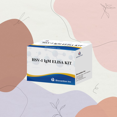 การวินิจฉัยทางการแพทย์ HSV-1 IgM Elisa Test Kit ด้วยอายุการใช้ 18 เดือน
