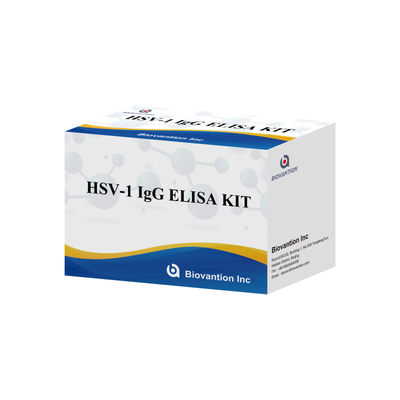 ชุดทดสอบความรู้สึกสูง HSV-1 IgG Immunoassay สําหรับการตรวจพบเชื้อเลือด