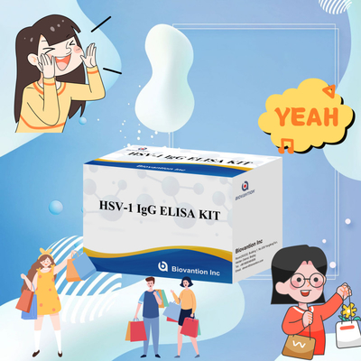 ชุดทดสอบความรู้สึกสูง HSV-1 IgG Immunoassay สําหรับการตรวจพบเชื้อเลือด