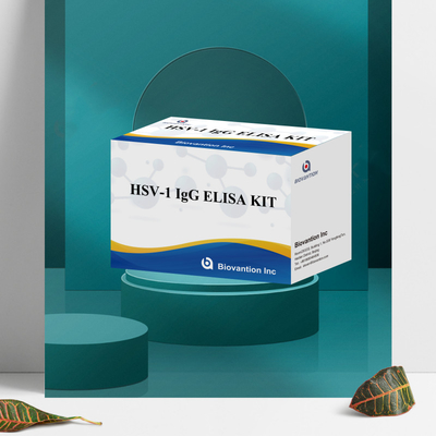 ชุดทดสอบความรู้สึกสูง HSV-1 IgG Immunoassay สําหรับการตรวจพบเชื้อเลือด
