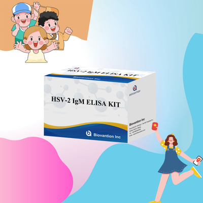 คิตทดสอบ Elisa ความเฉพาะสูง HSV-2 IgM สําหรับผลการทดสอบที่รวดเร็วและแม่นยํา