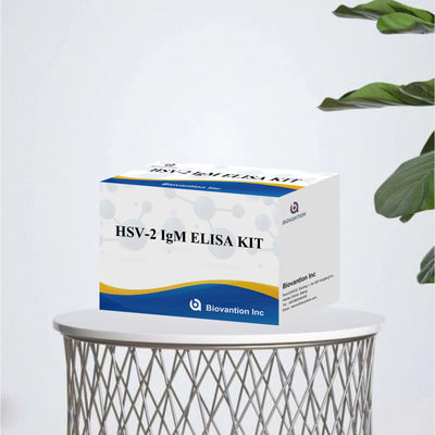 คิตทดสอบ Elisa ความเฉพาะสูง HSV-2 IgM สําหรับผลการทดสอบที่รวดเร็วและแม่นยํา